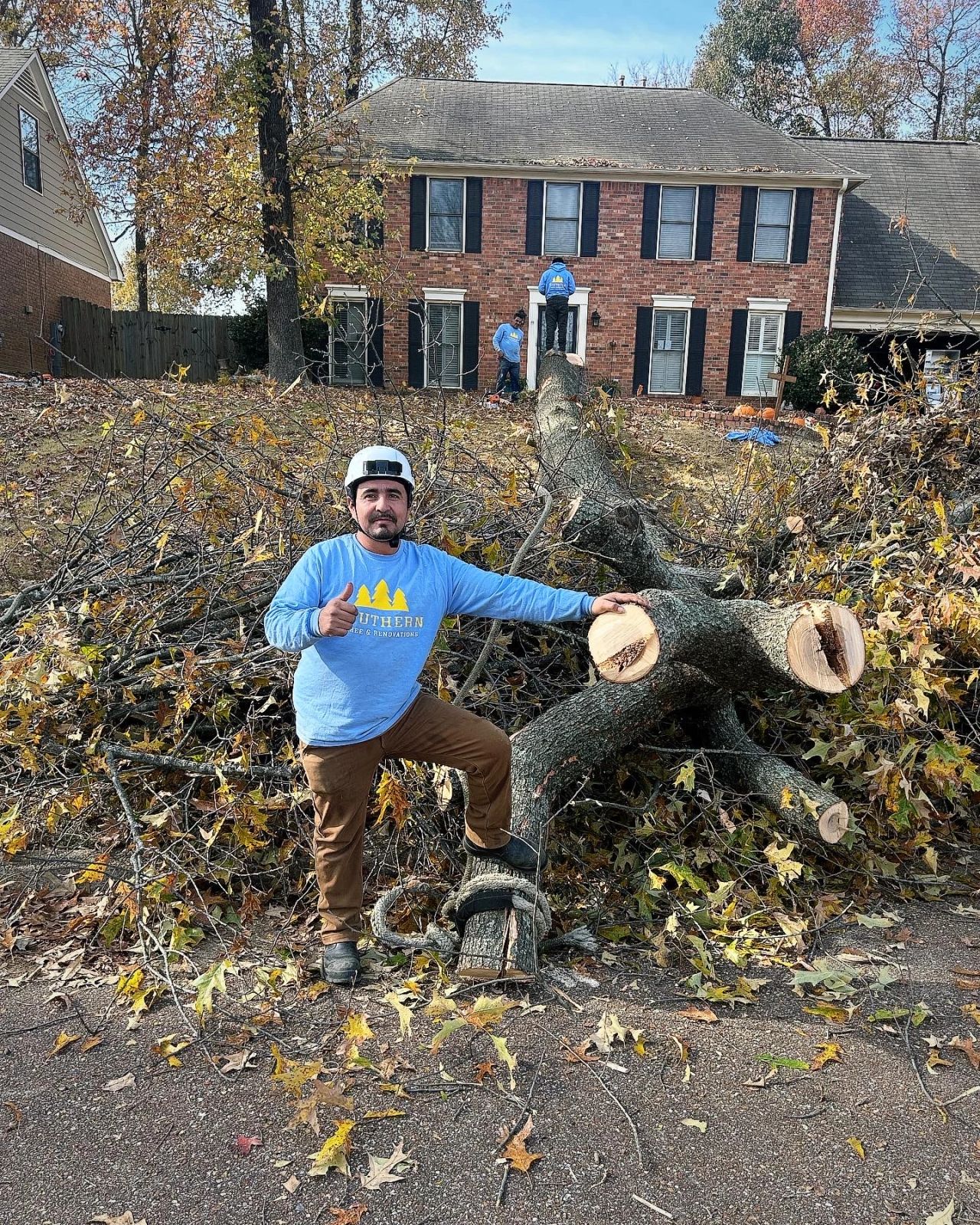 Tree removal and crane work in progress