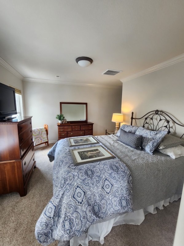 Master Suite & Crown Molding Interior Finish