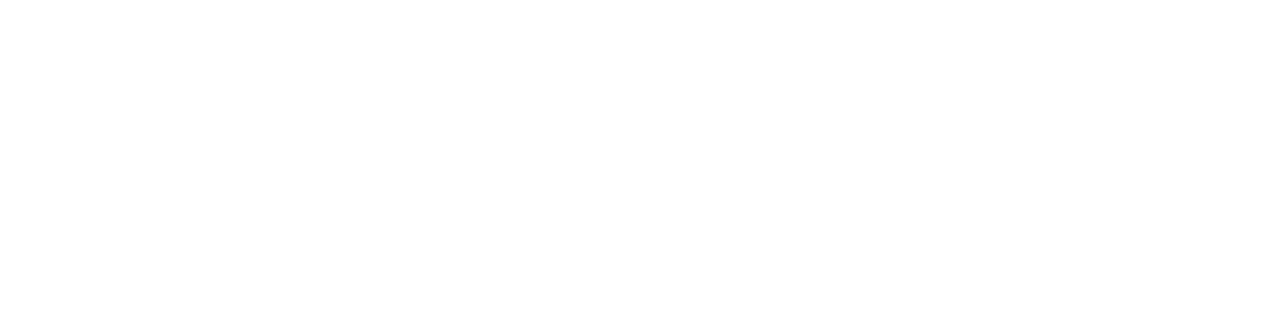 Volantis Professional Flight School