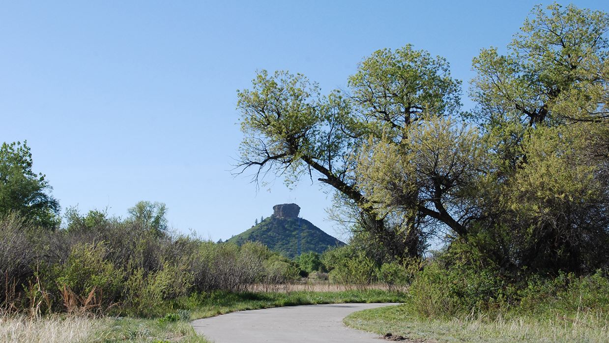 Castle Rock, CO