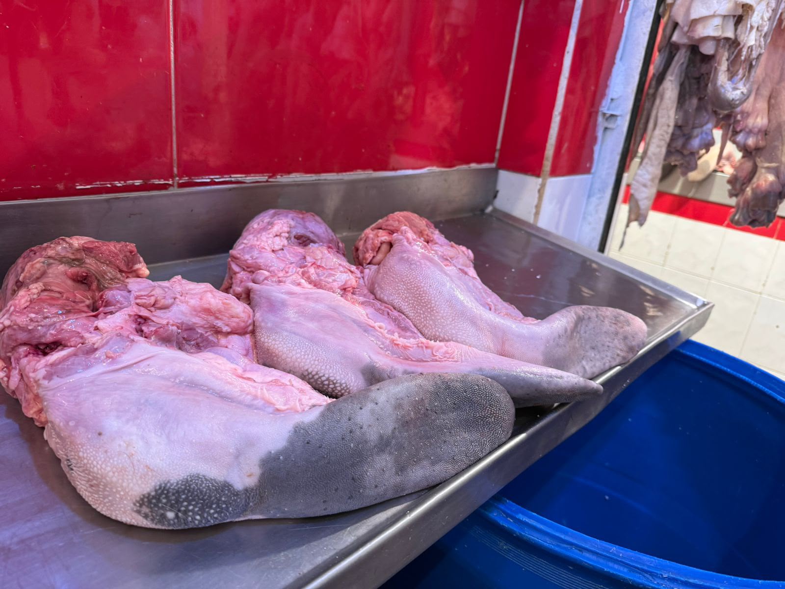 Cocina de taquería y surtido al mayoreo en Cancún