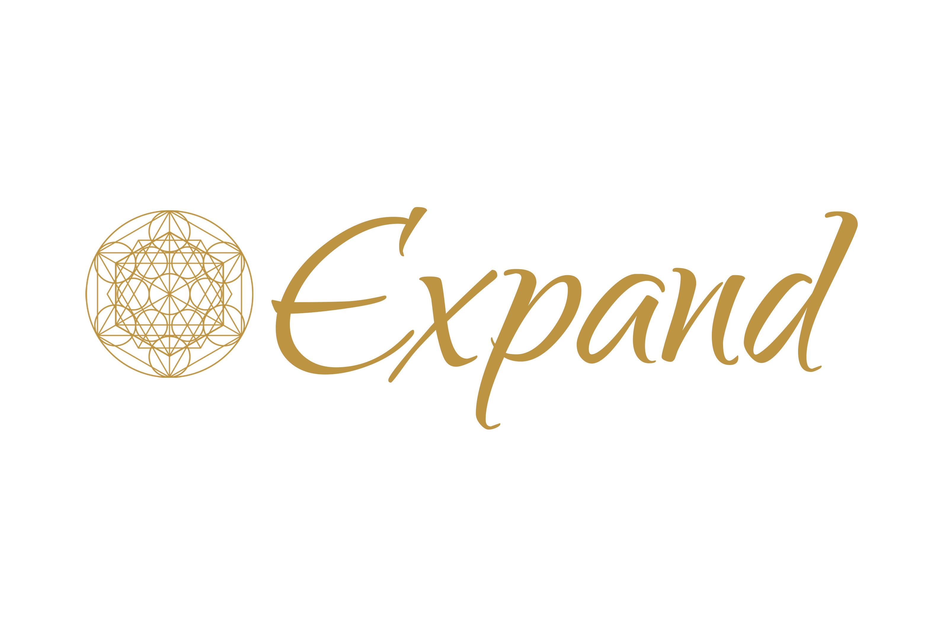 Expand Logo