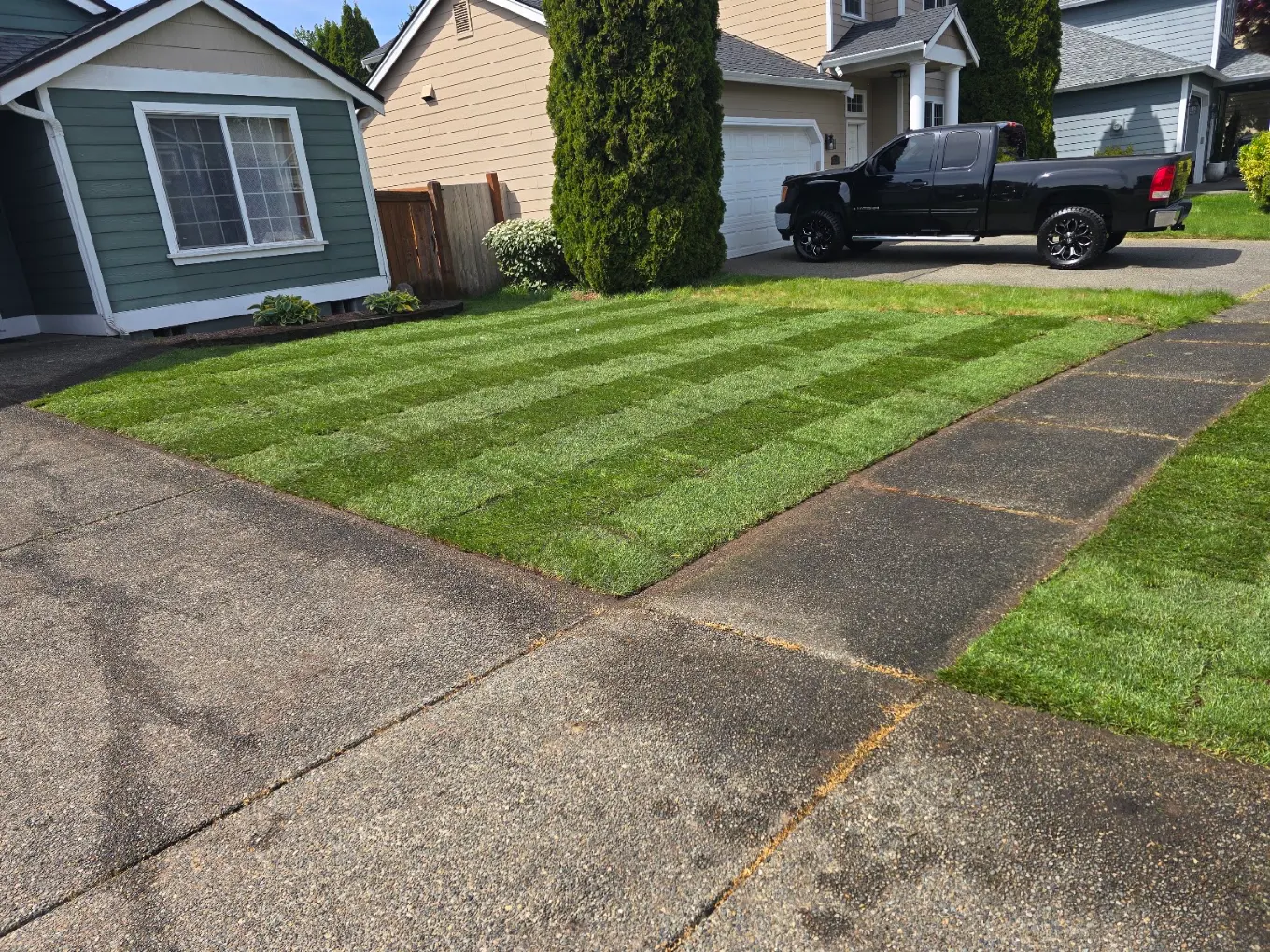 Precision Sod Installation