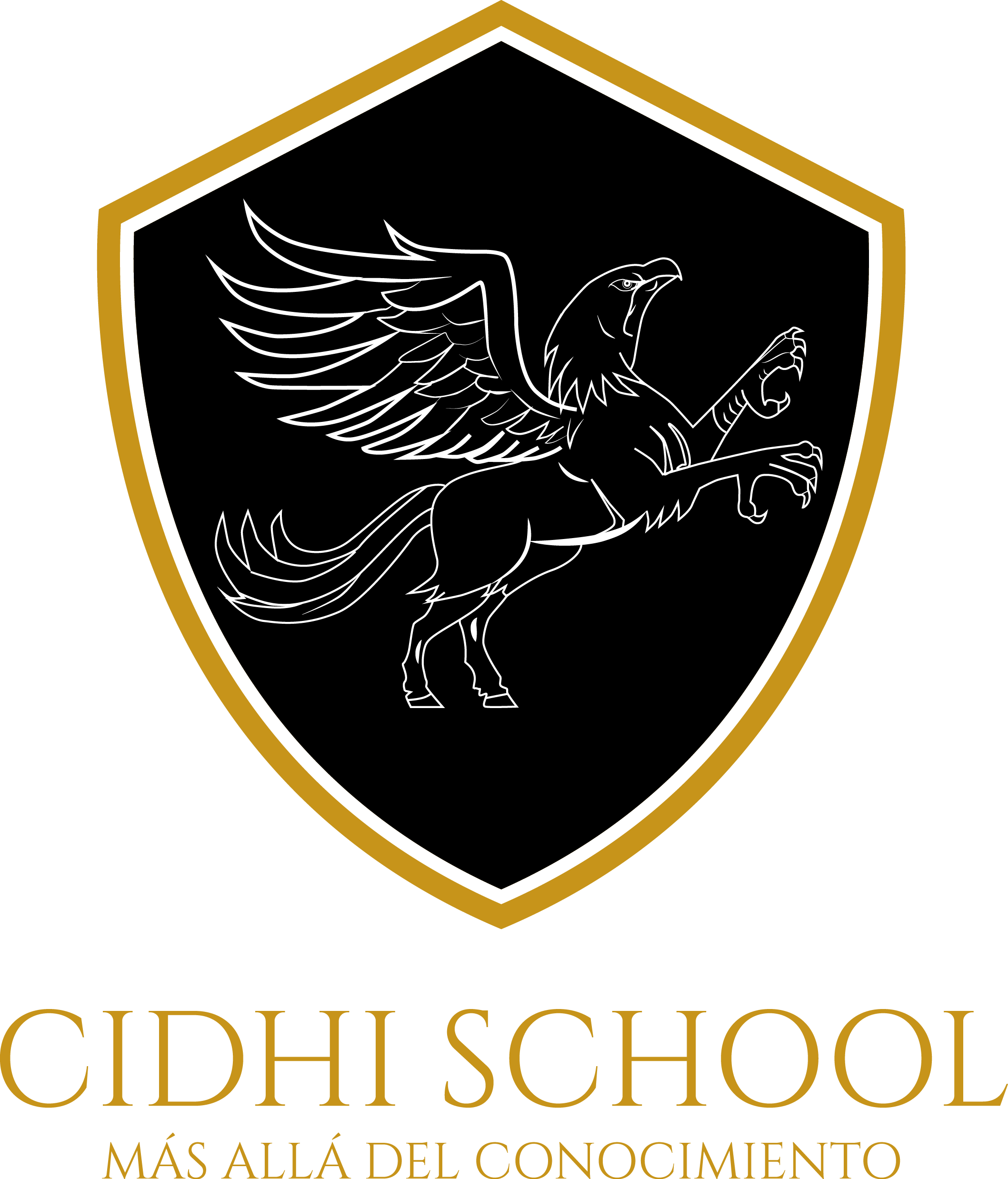 CIDHI School