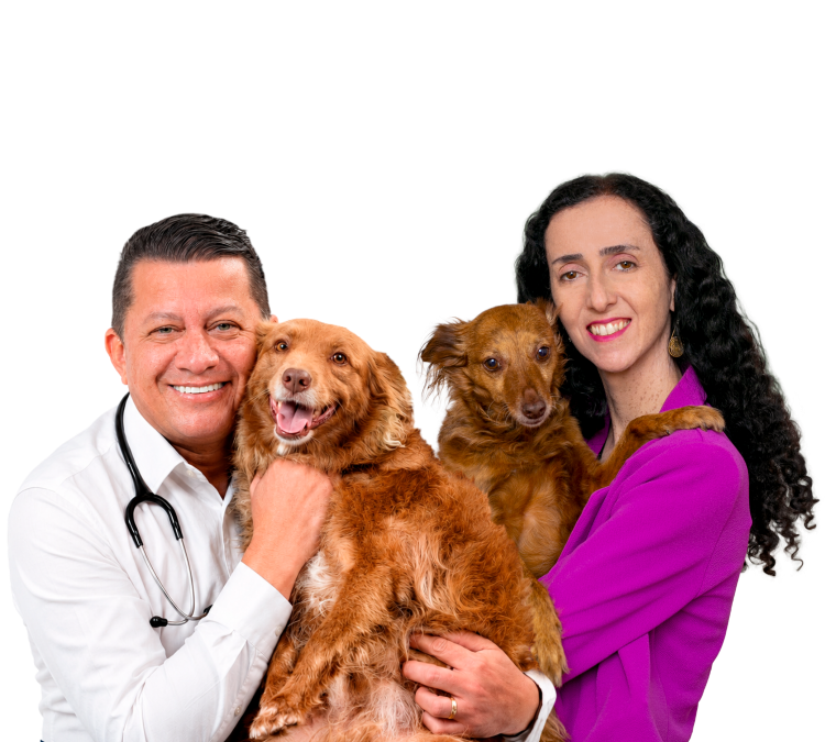 Dr. Edson da Paiol e Fernanda Moreno com animais resgatados