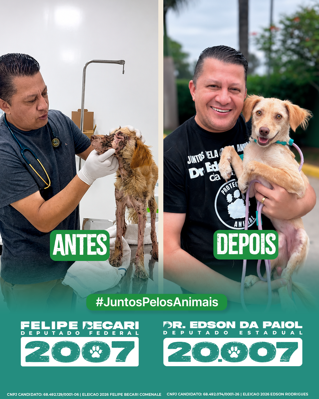 Dr. Edson da Paiol em ação de resgate, atendimento e cuidado animal — Antes e Depois