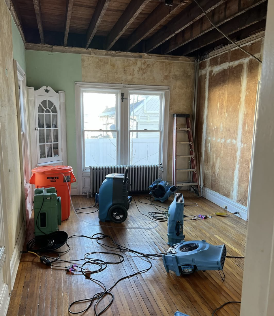 Promore Structural Drying Setup with Dehumidifier and Axial Air Movers