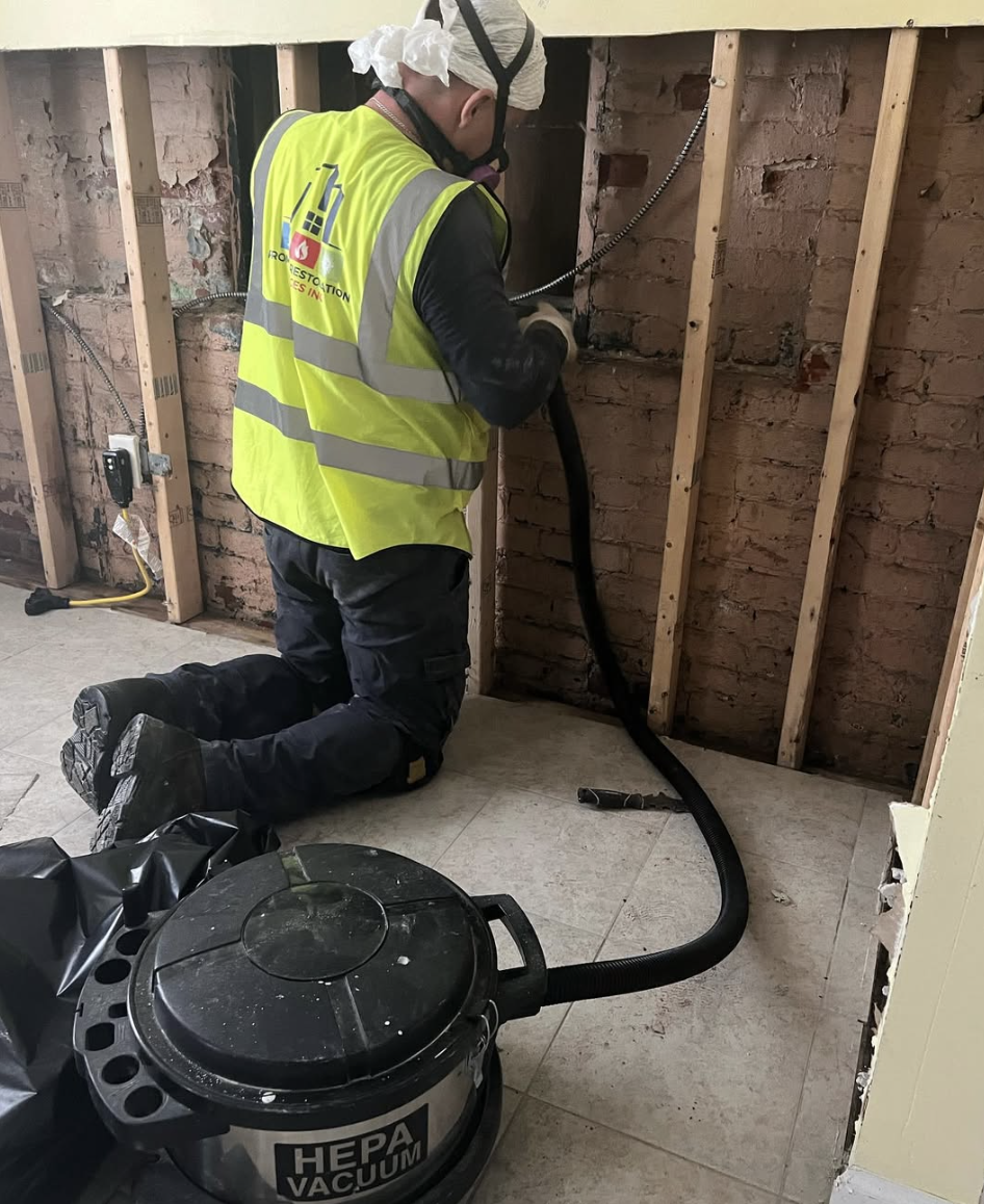 Mold Remediation