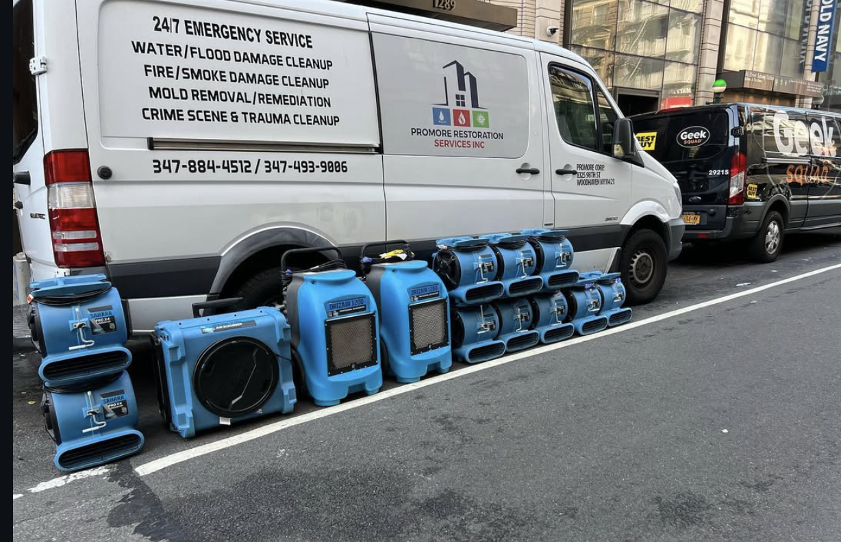 Promore Sprinter Fleet