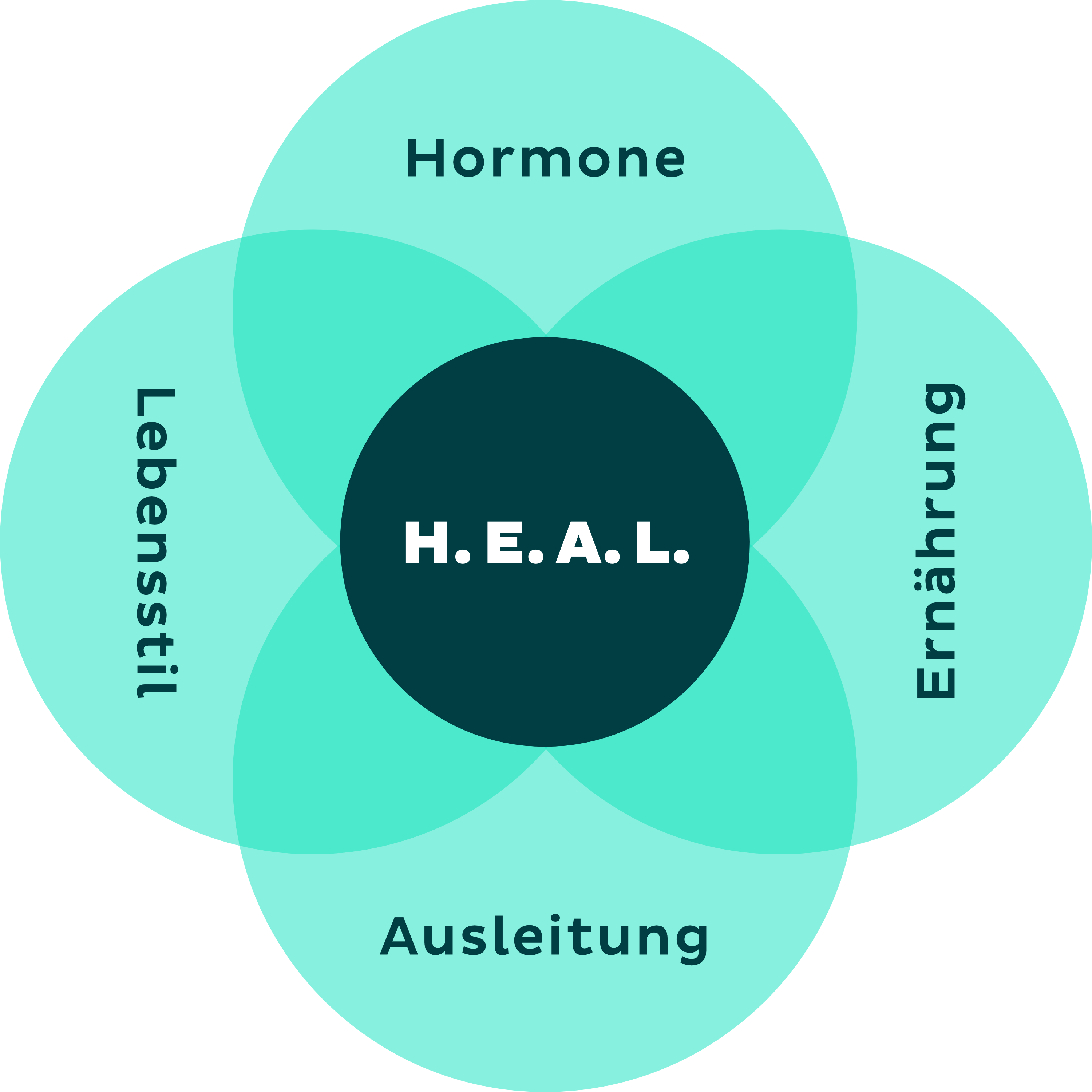 H.E.A.L.-Methode: Hormone, Ernährung, Ausleitung, Lebensstil