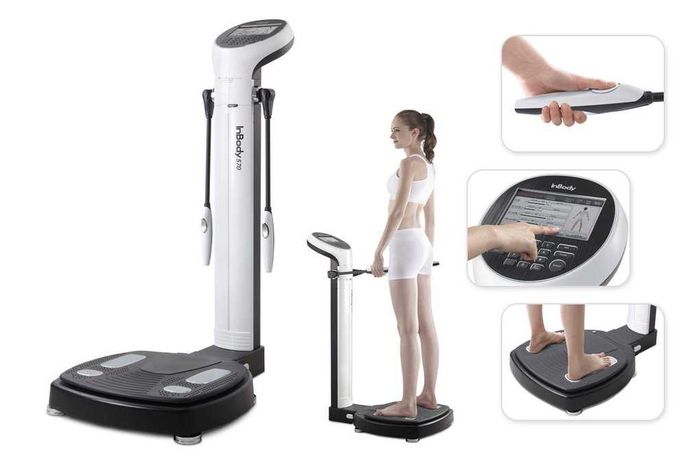InBody Körperanalyse bei Feelgood