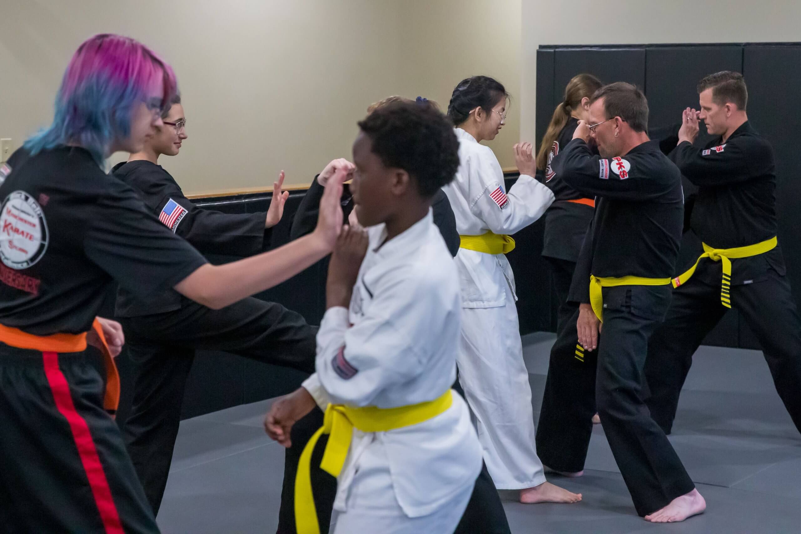Adult martial arts students training in the dojo
