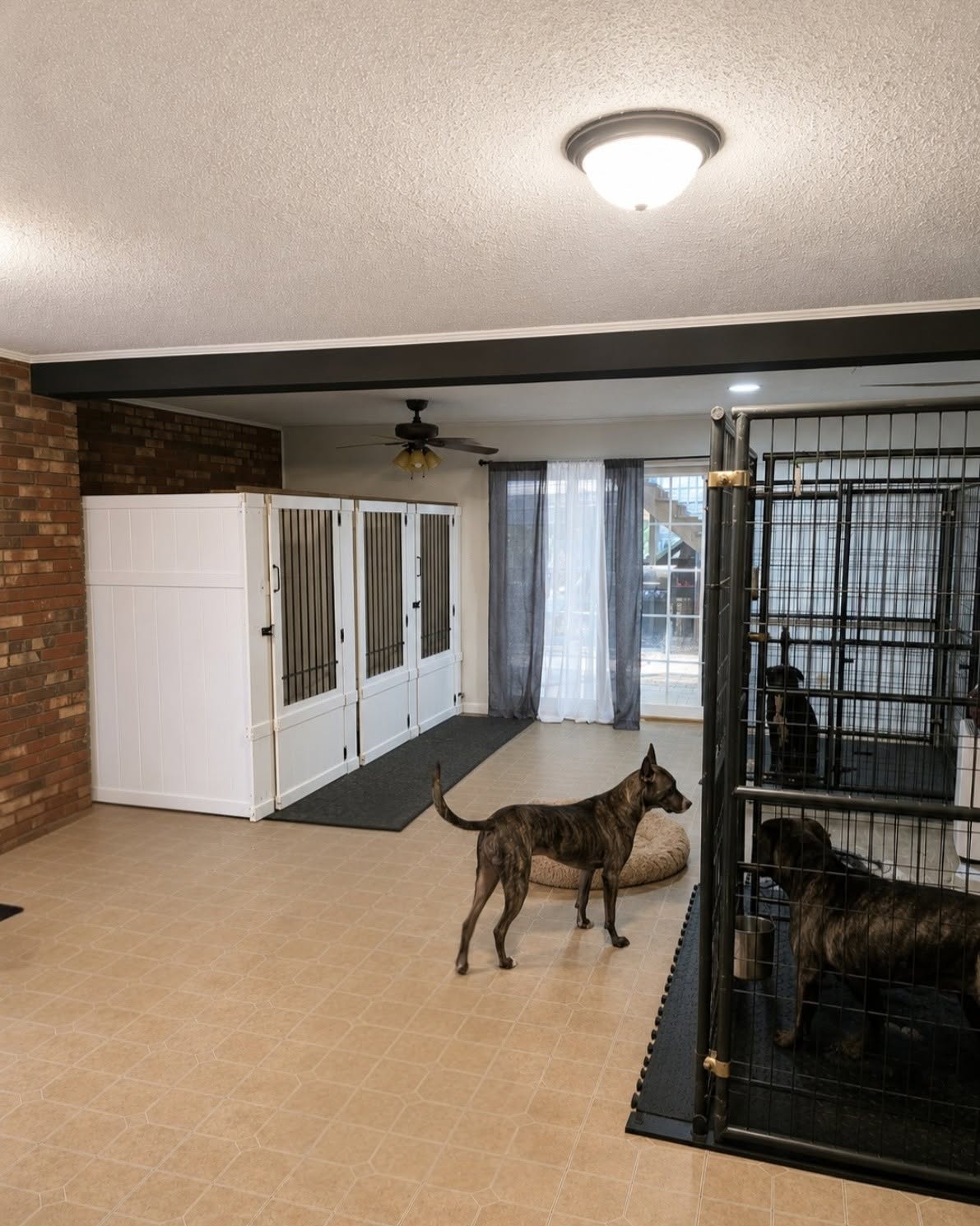 Spacious Indoor Suites & Lounge