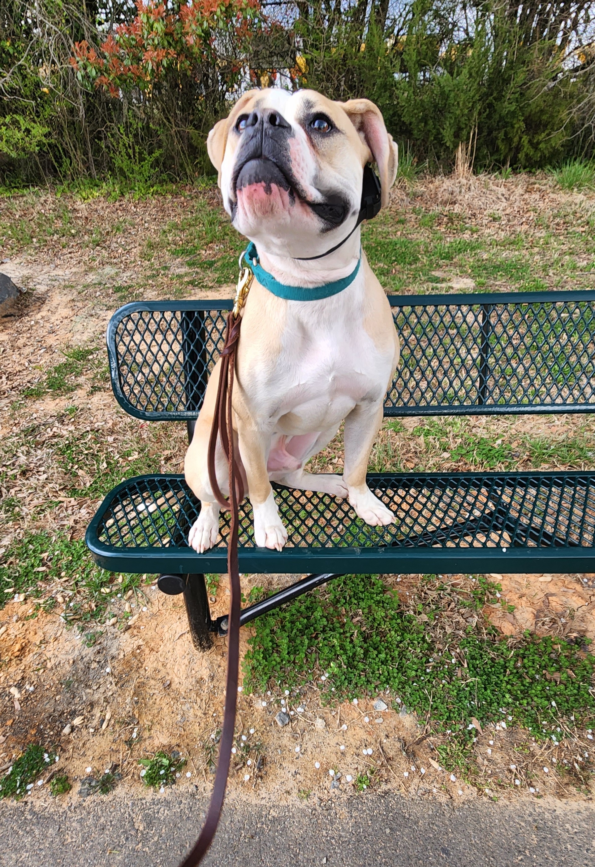 Park Bench Focus & Posture