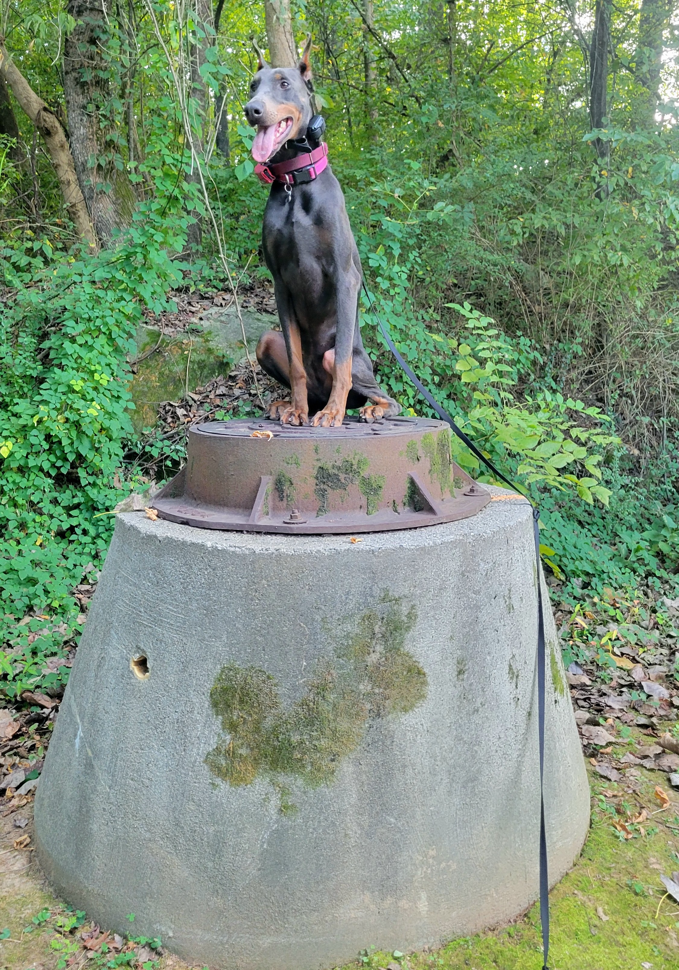 High-Perch Place Work