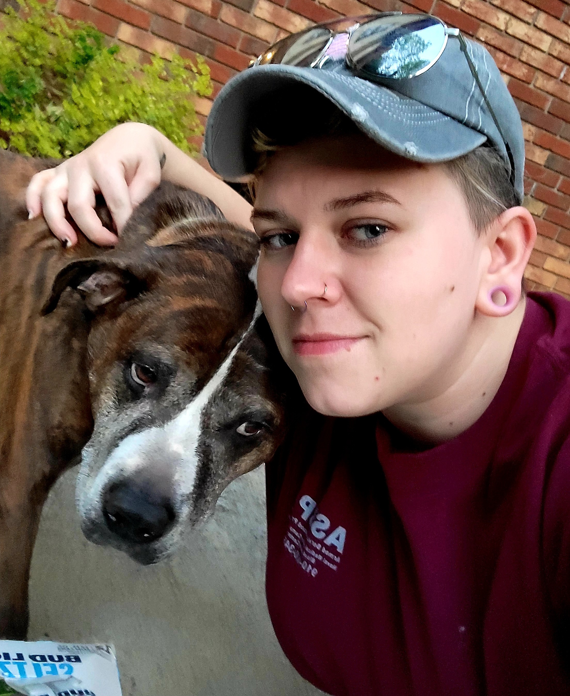 Trainer & Companion Connection