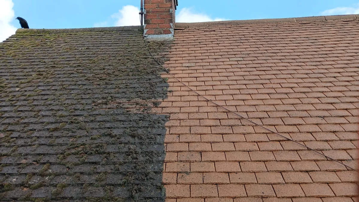 Tile Roof De-mossing & Restoration