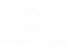 Logomarca do Instituto Gois Aguiar