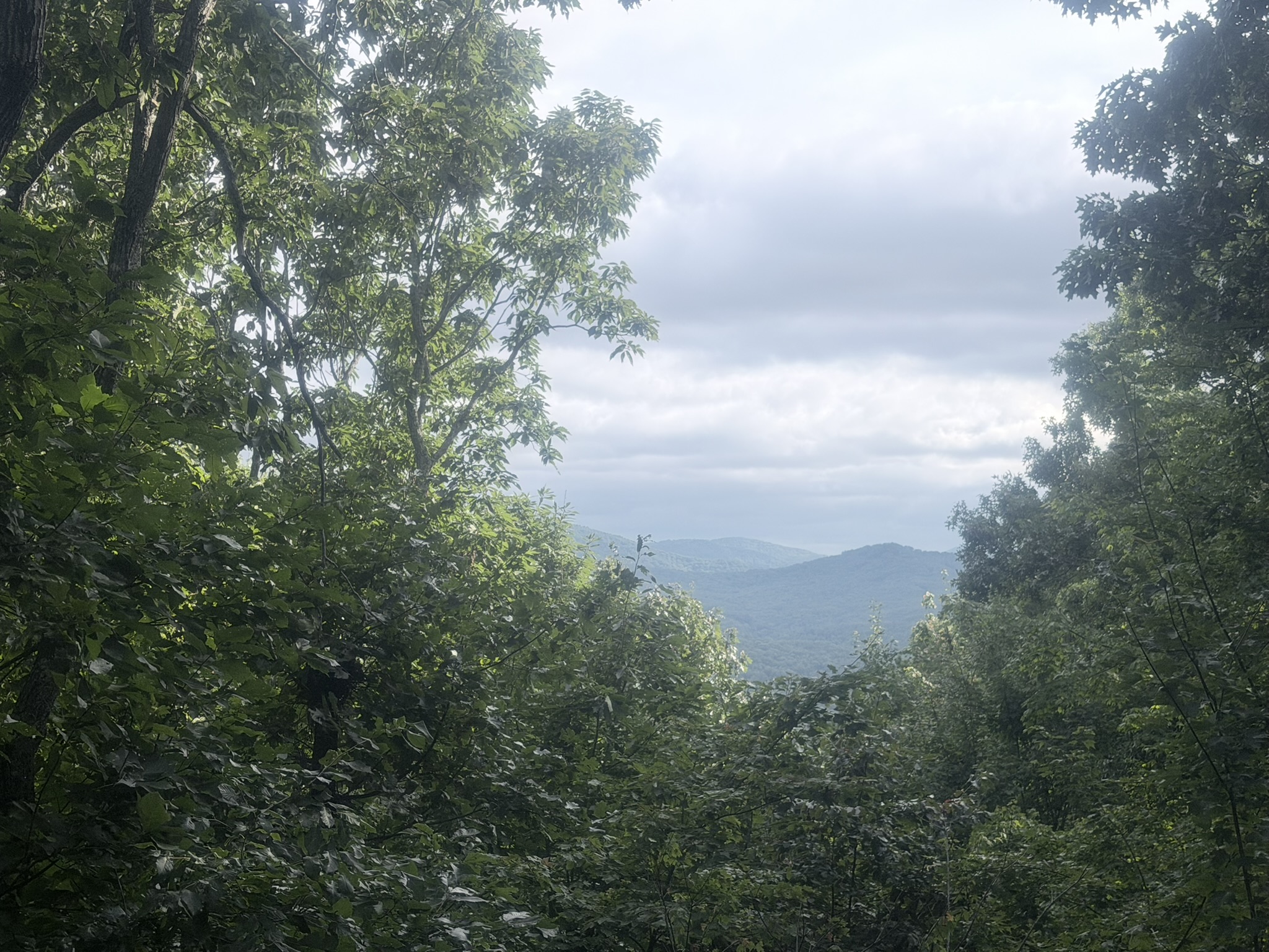 North Georgia Mountain View Clearing & Scenic Vista