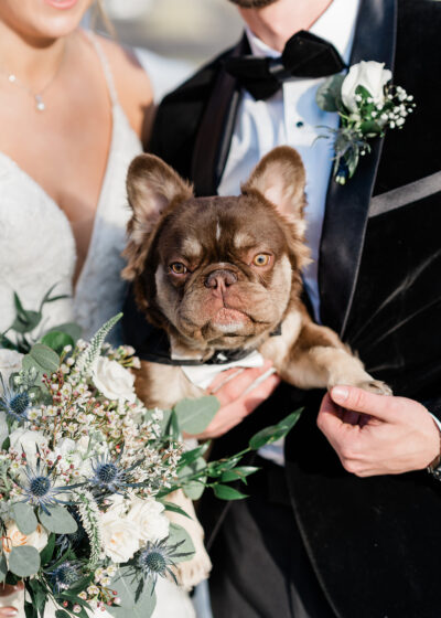 Newlyweds posing with their dressed-up French bulldog wearing a black bowtie at winter wedding
