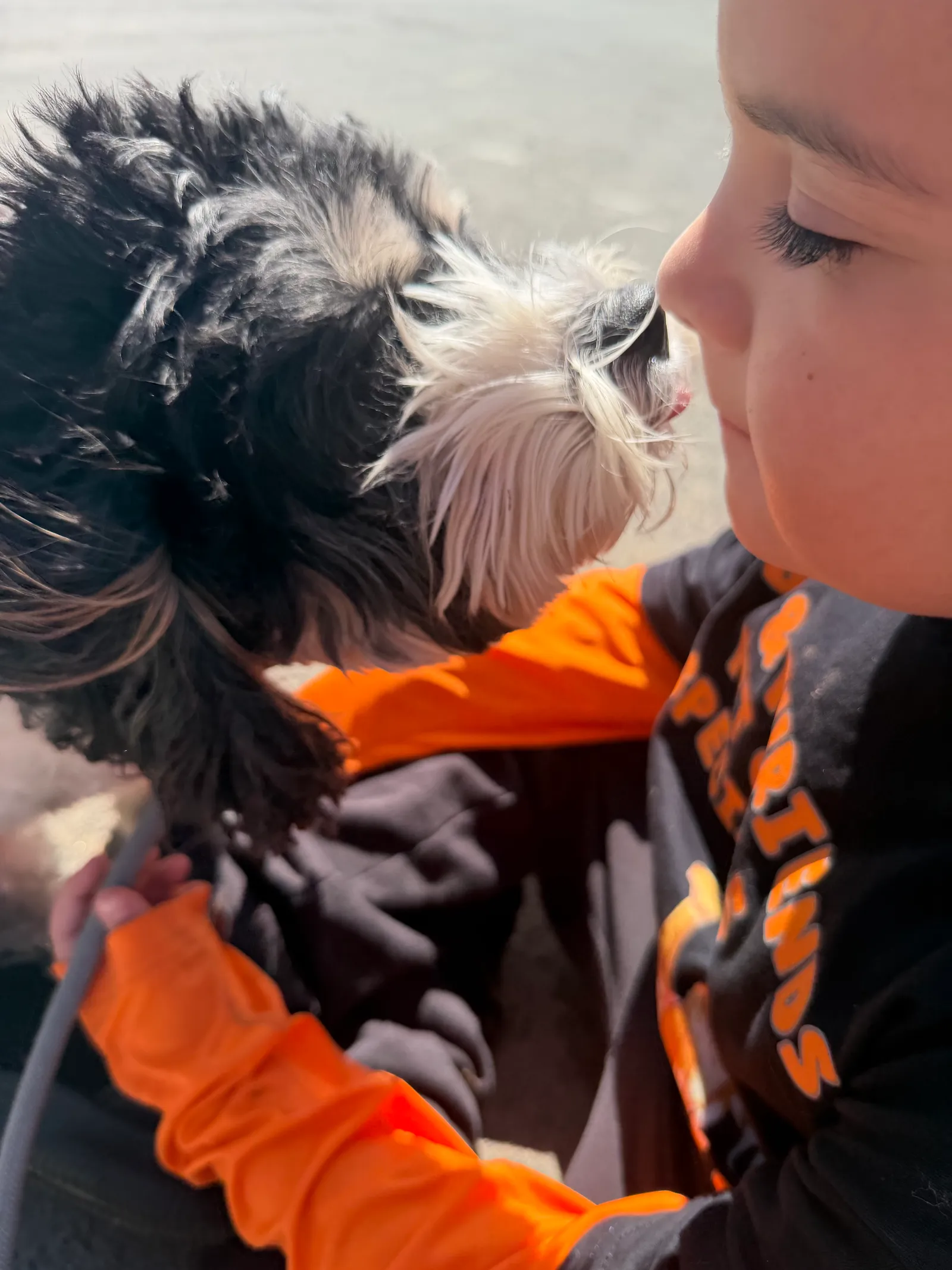 Sweet tender nose kiss with fluffy black-and-white pup — Super Gigi pet sitting and dog walking in Bergen County, NJ