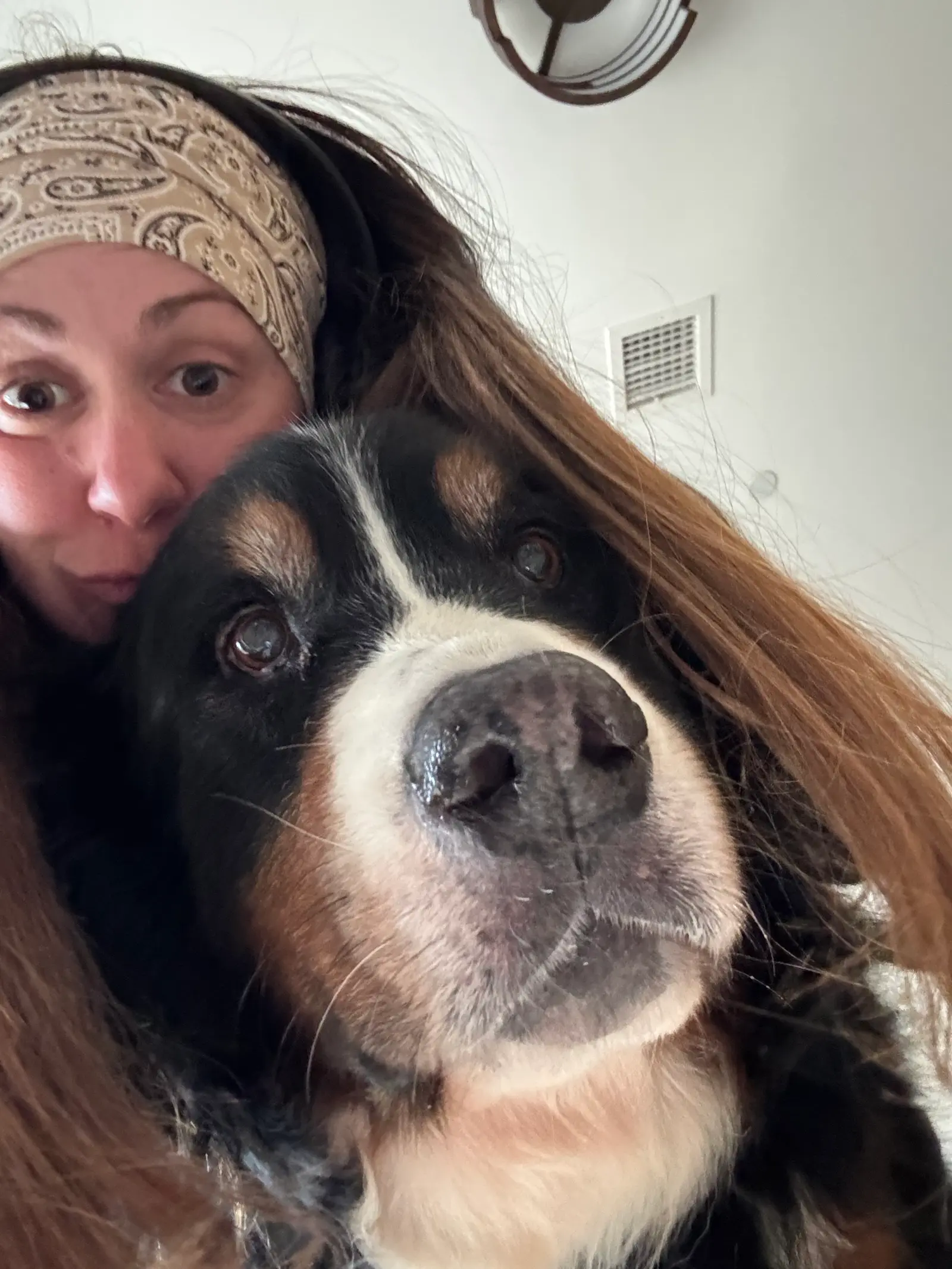 Cozy selfie cuddle with Bernese mountain dog and Gigi in patterned headband — Super Gigi pet sitting and dog walking in Bergen County, NJ