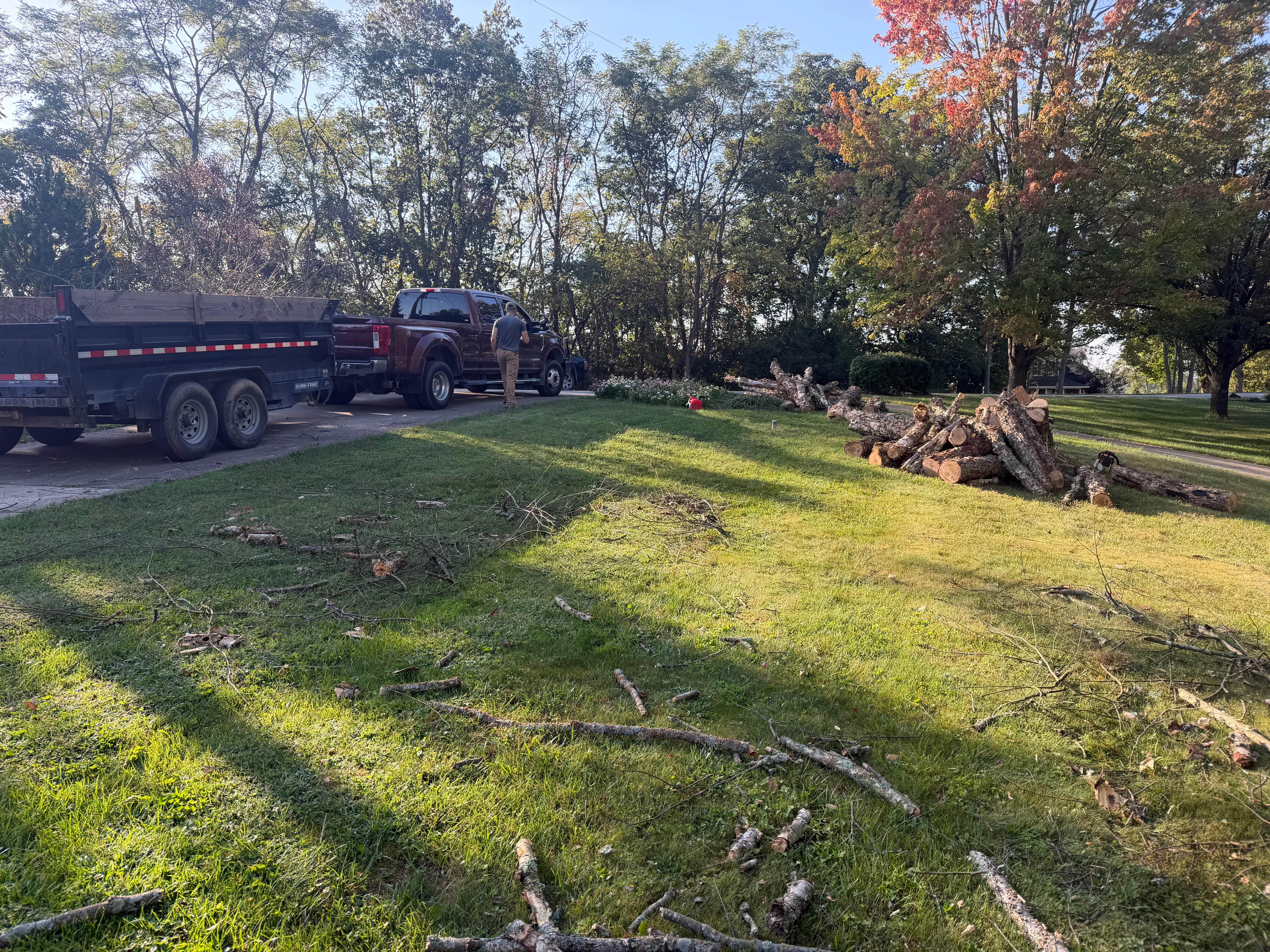 Truck and dump trailer loaded with cut tree logs and branches for disposal