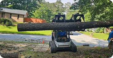 Land Clearing by B & L Tree Expert