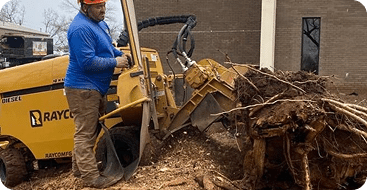Stump Grinding by B & L Tree Expert