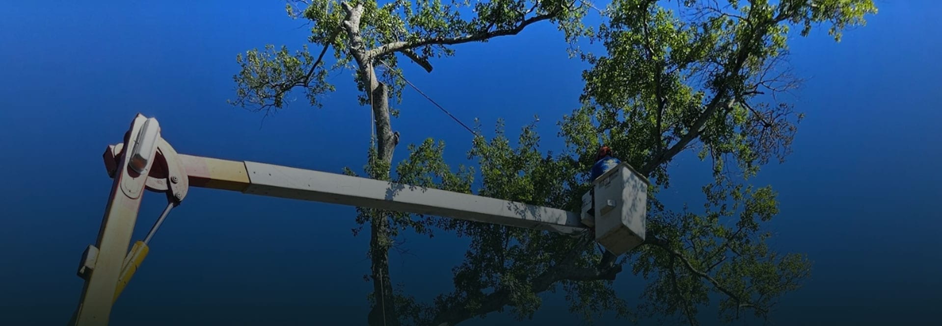 B & L Tree Expert crew performing a crane assisted tree removal