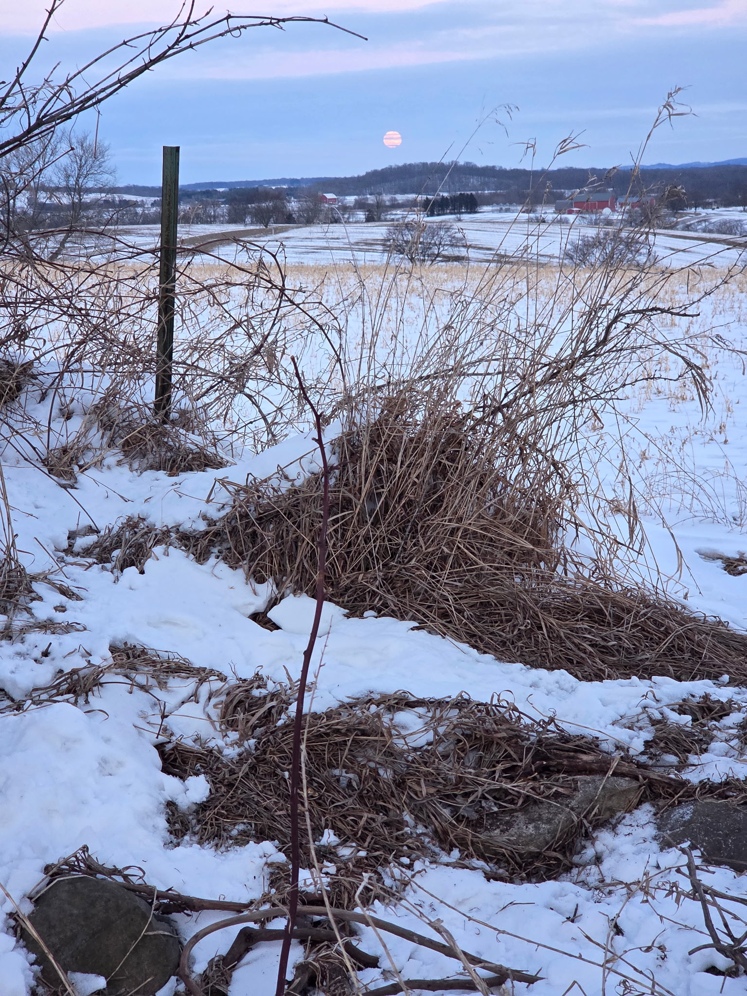 Winter dusk scene showing a rustic fence line and native cover overlooking snow-covered fields and a soft pink moon