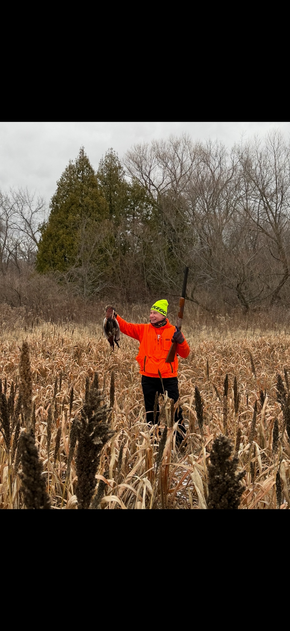 Hunter in blaze orange smiling and holding up a rooster pheasant in standing sorghum cover