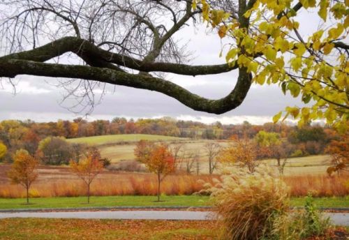 Scenic autumn countryside with rolling hills and vibrant foliage