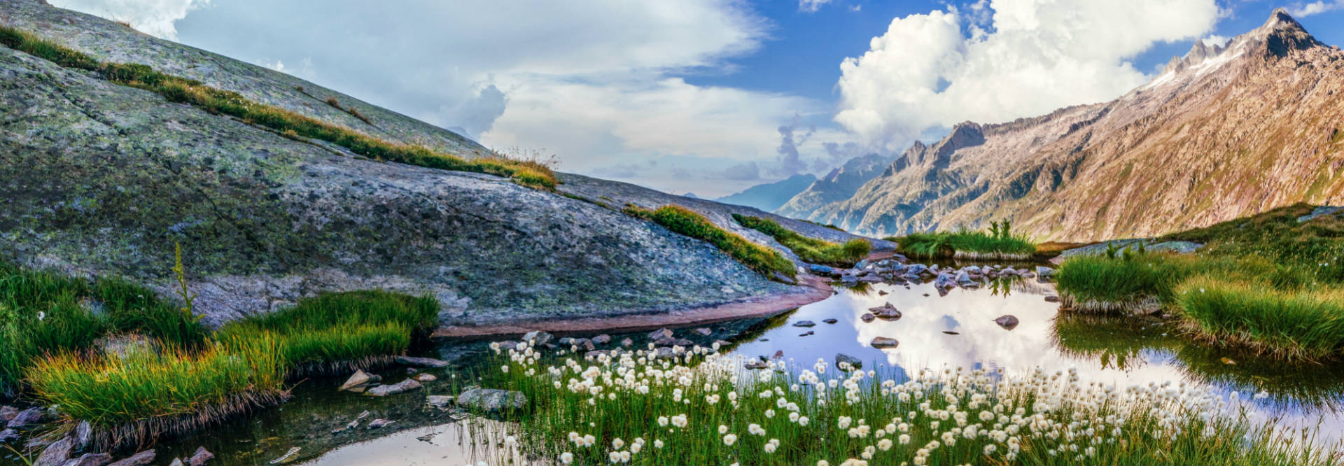 Energy Scans & Intuitive Healing — Quantum Healing International