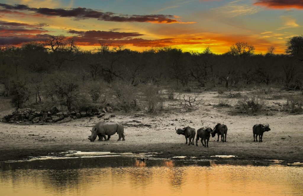 Kruger National Park