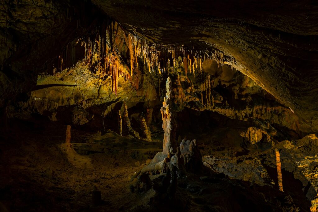 Cradle of Humankind