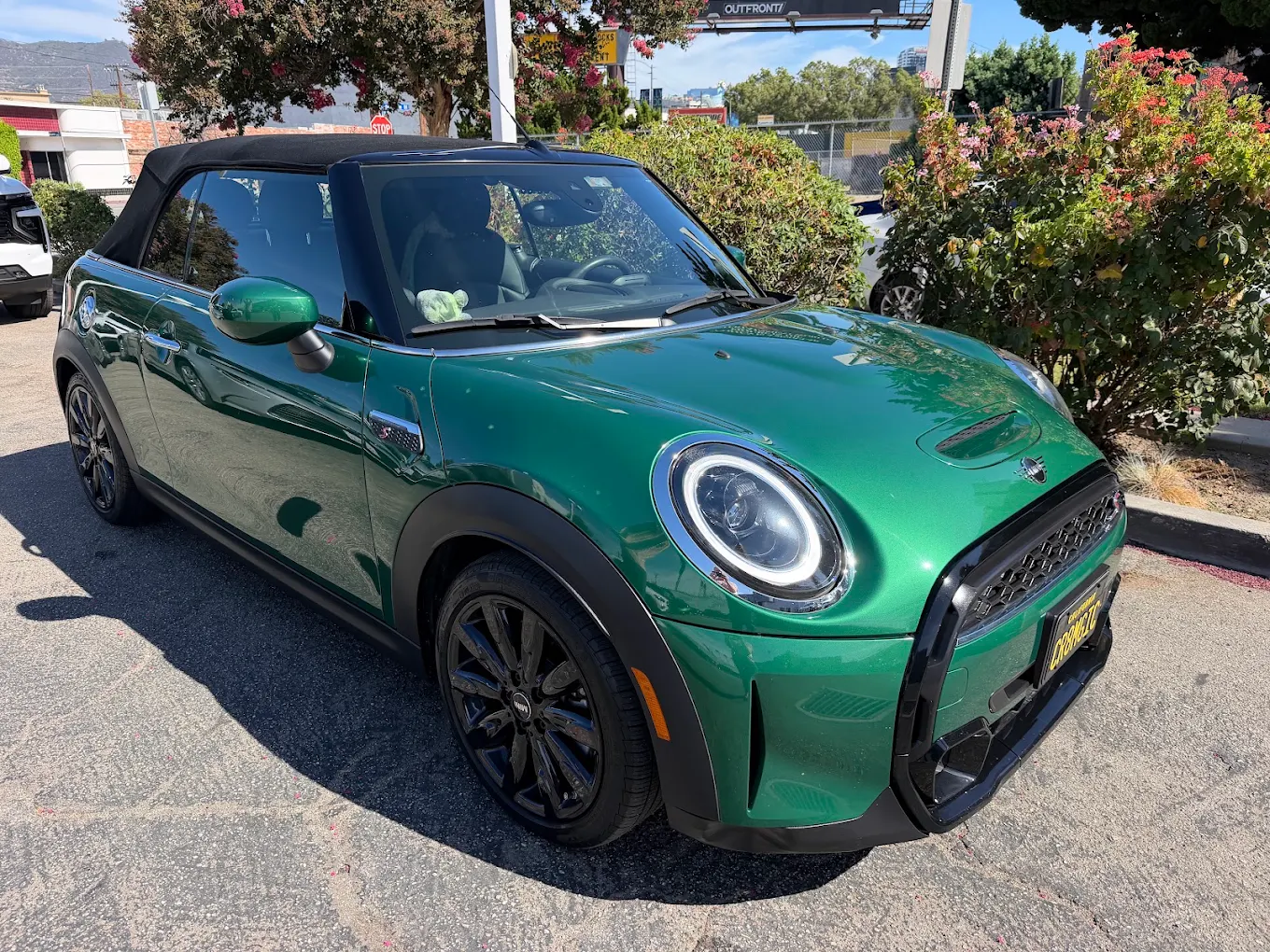 British Racing Green Mini Cooper with flawless mirror clear-coat paint restoration
