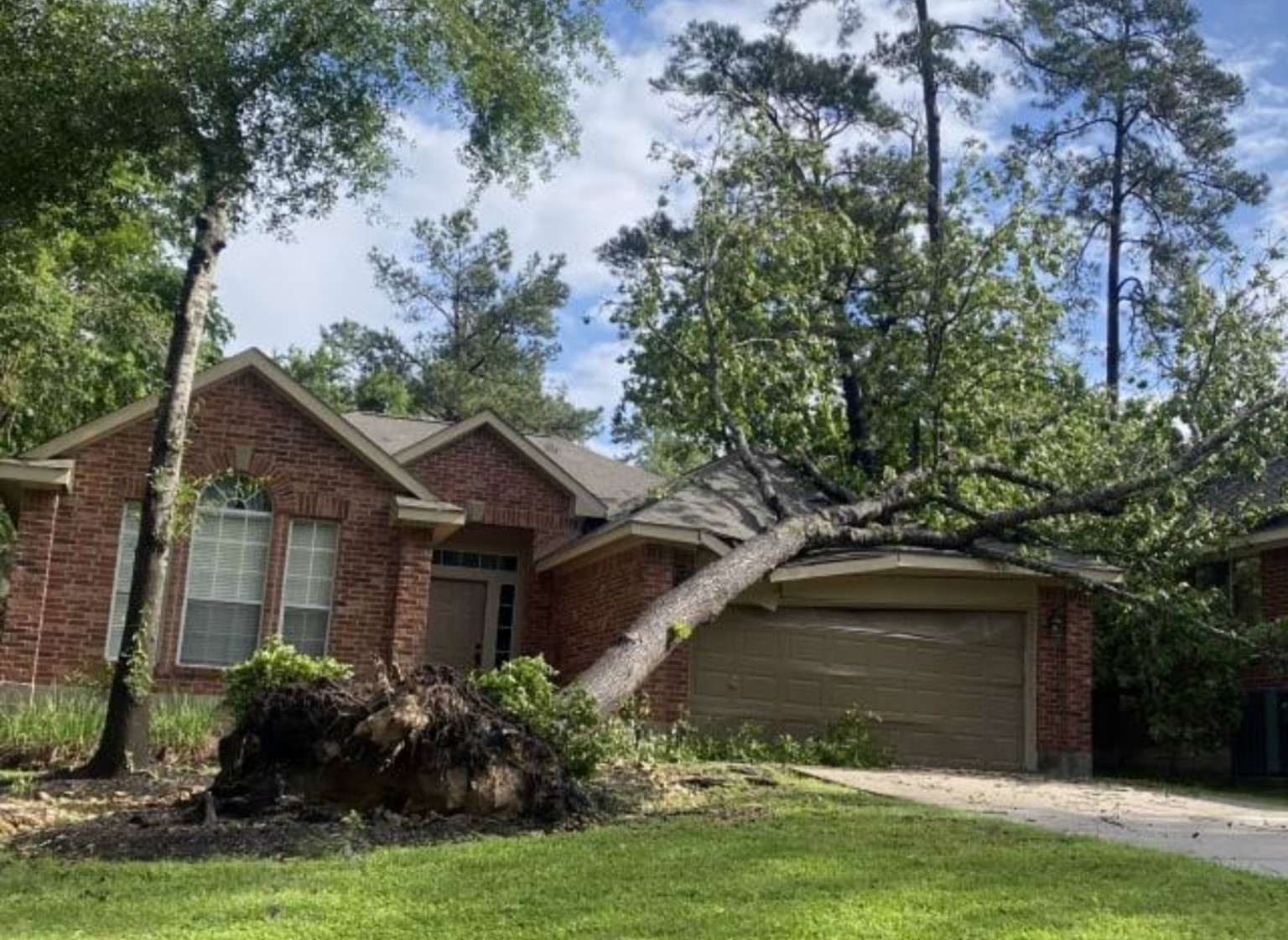 Large uprooted tree fallen across the garage roof of a residential home after severe weather.