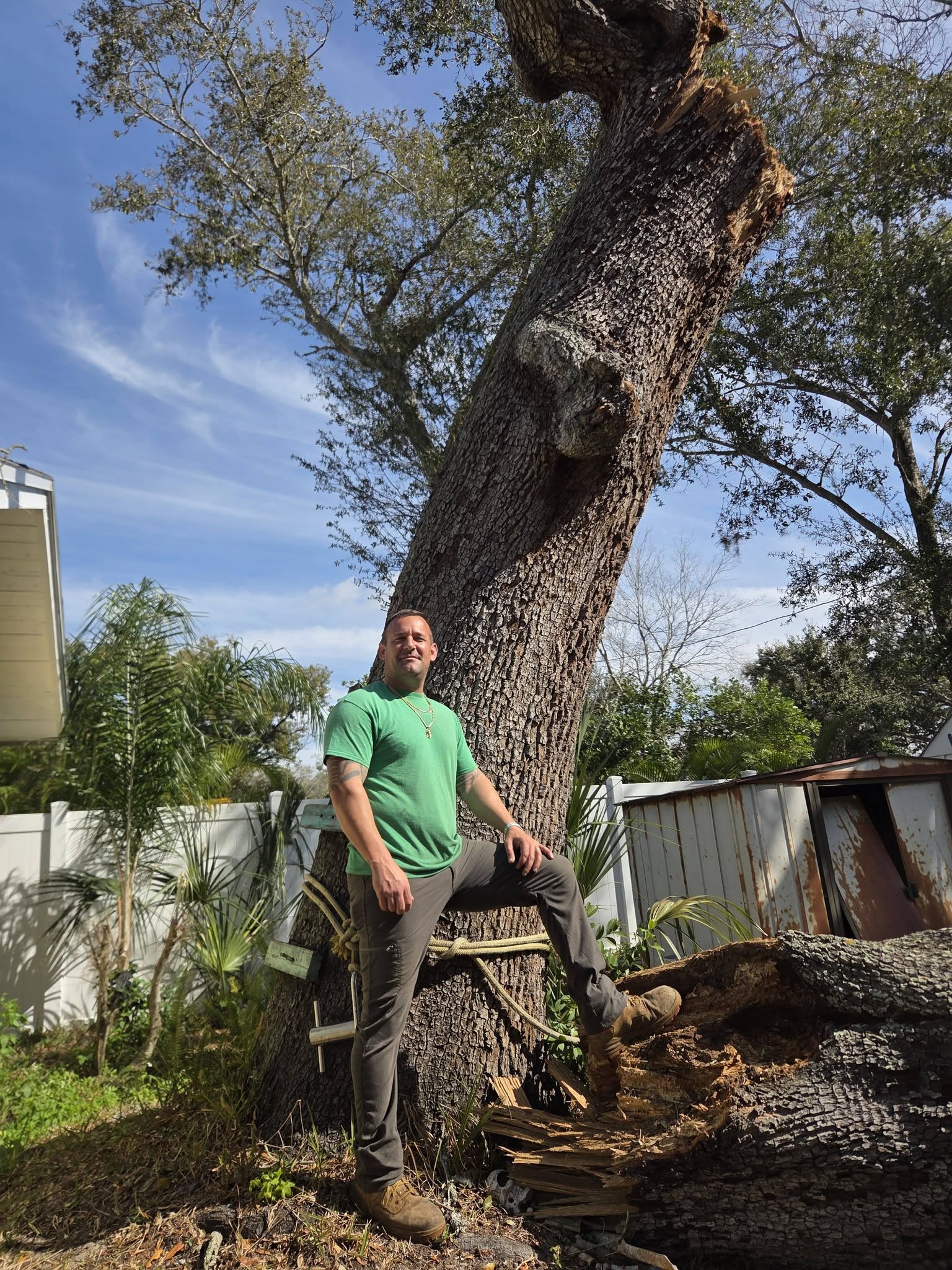 Safe Tree Removal