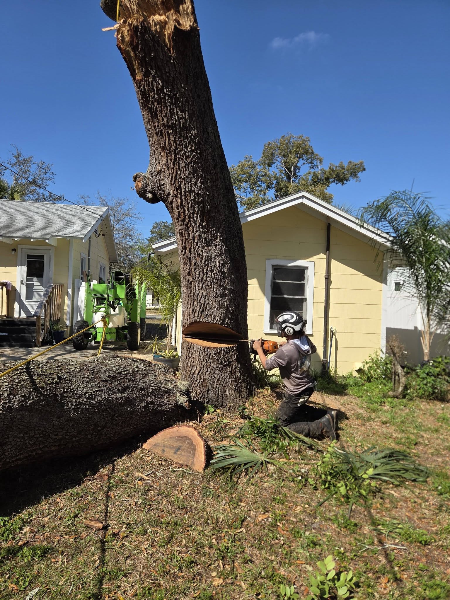 Stump Grinding & Root Clearing