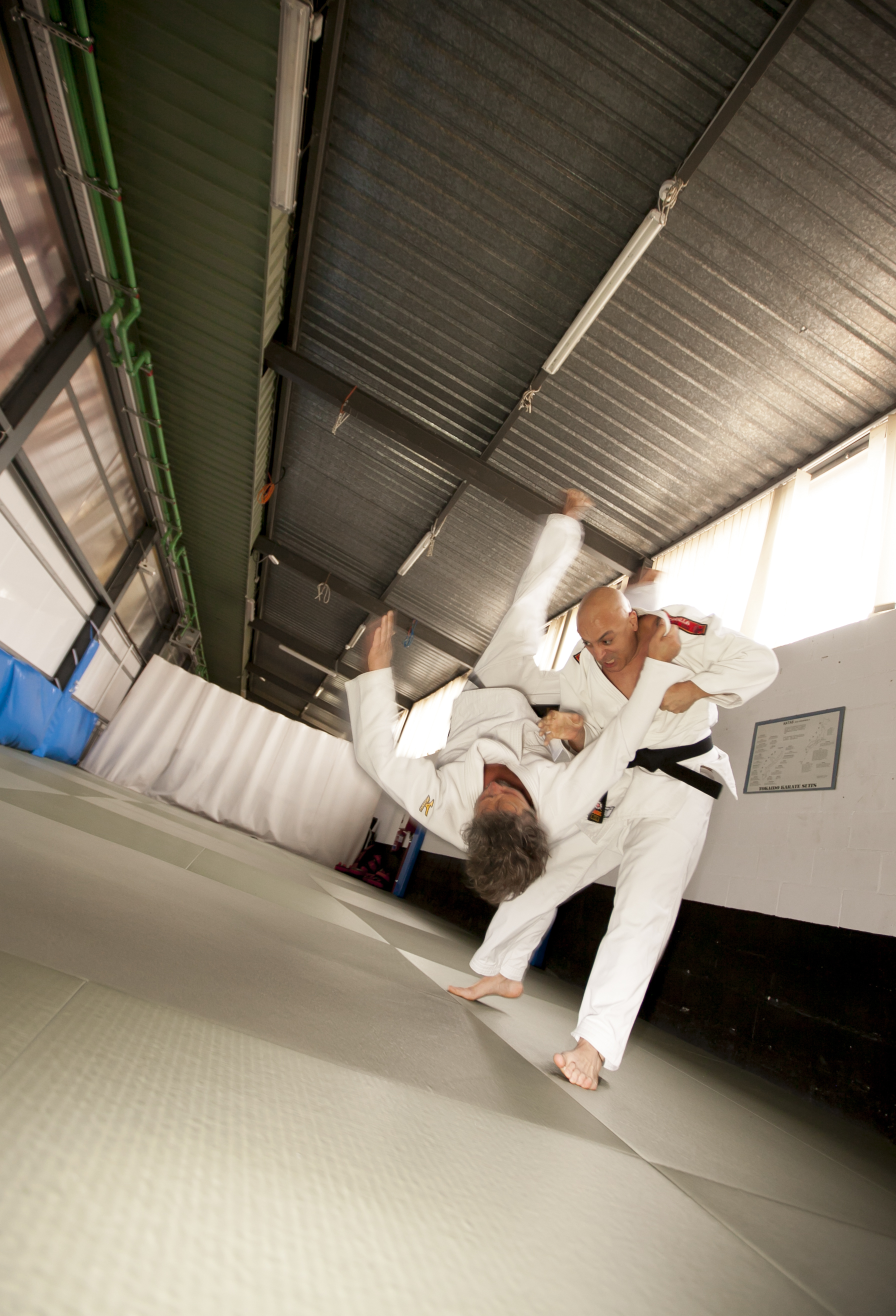 Raúl Mata Torrado — Artes marciales y disciplina física