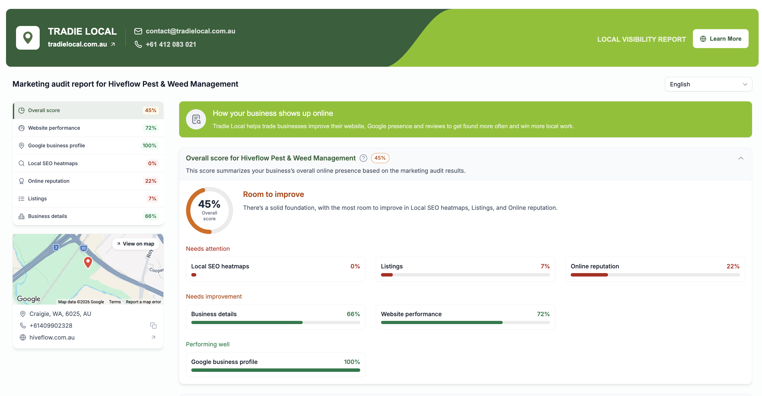 Online Visibility Report Example