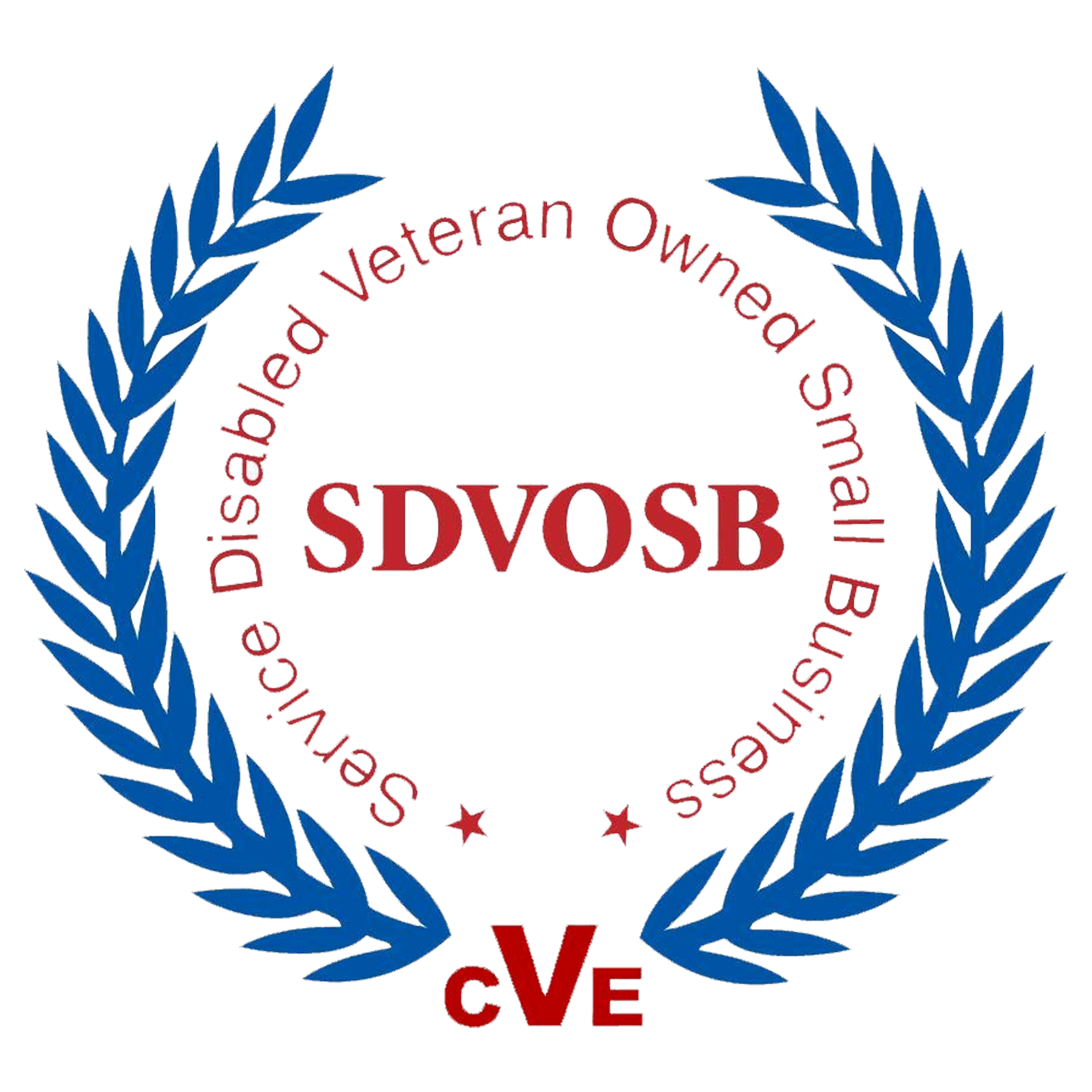 Service-Disabled Veteran-Owned Small Business (SDVOSB)