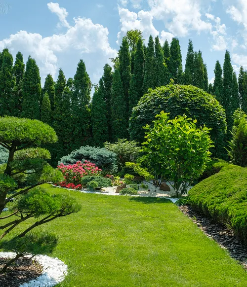 Tiered evergreen screening and custom stone garden border in Somerset County