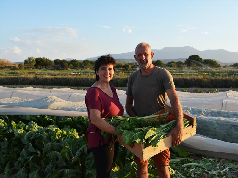 Agricultores de ecoLombana con caja de hortalizas ecológicas frescas