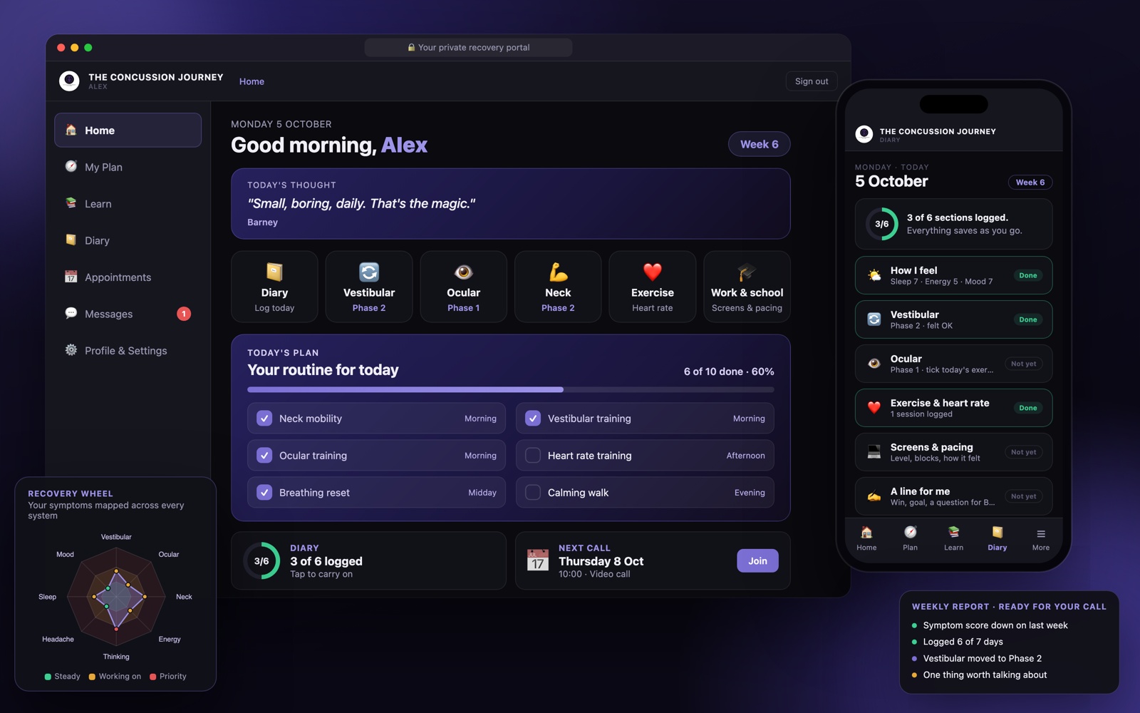 The Concussion Journey client portal dashboard