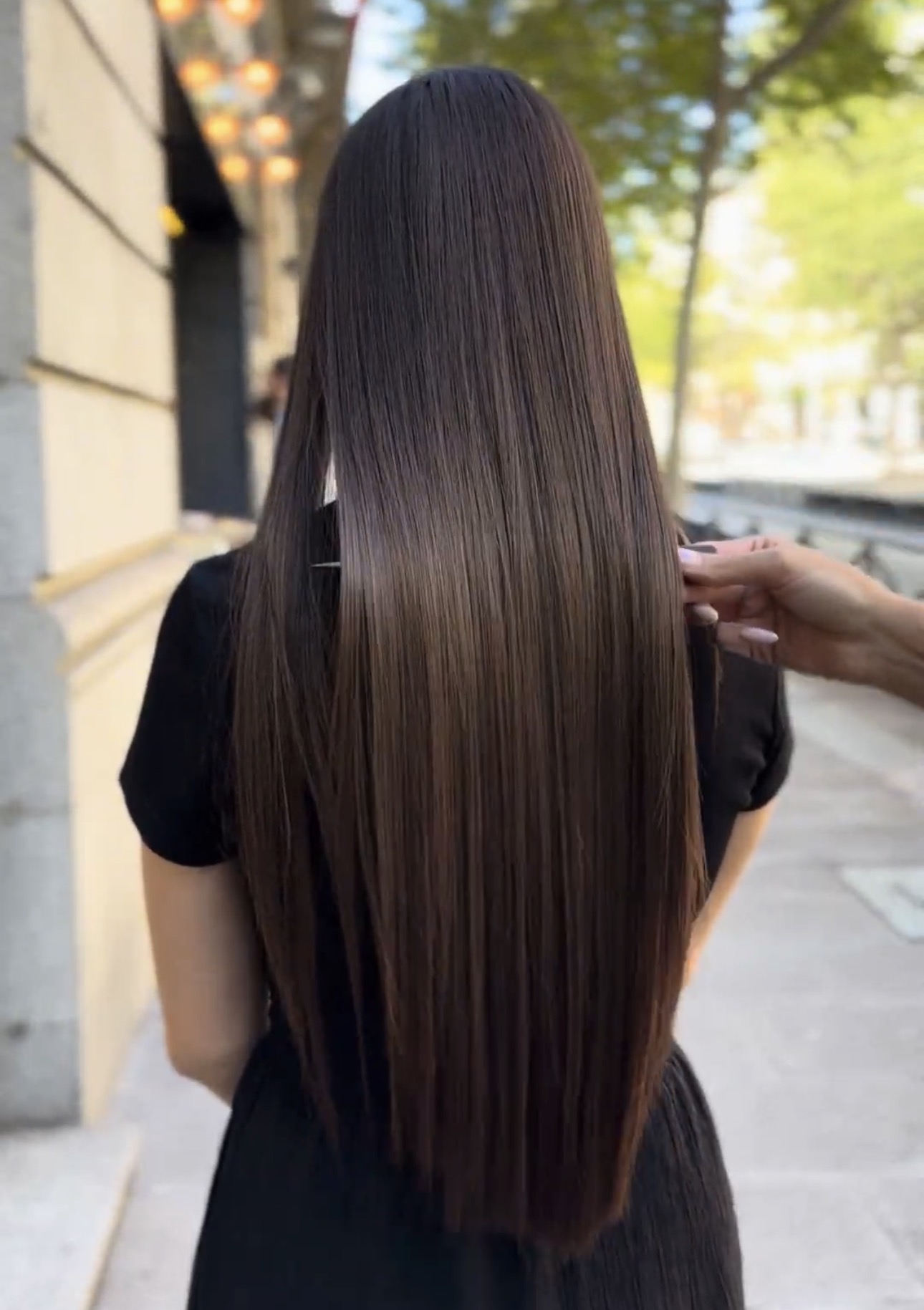 ALISADO 100% VEGETAL CON YBERA PARIS, NUESTRO GRAN ALIADO