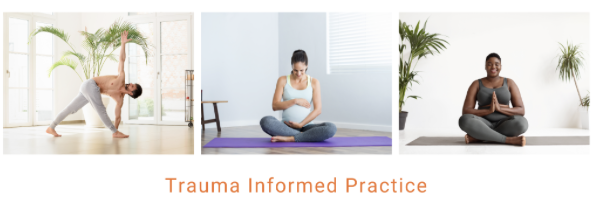 Trauma-Informed Practice