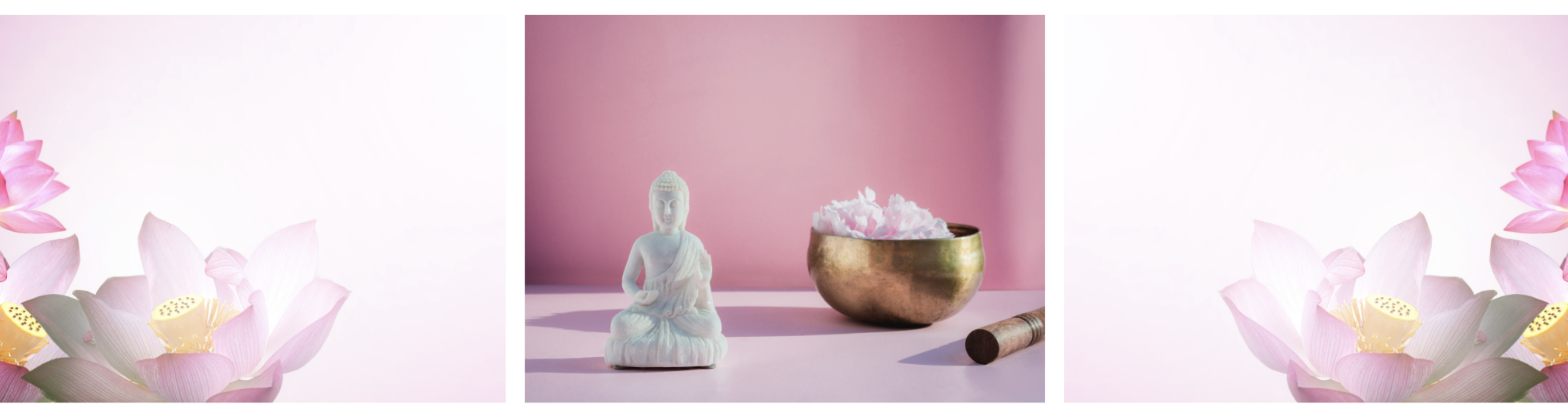 Yoga History and Philosophy banner