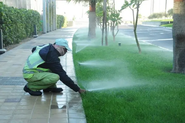 Landscaping works at Bahrain Bay-J2472 3